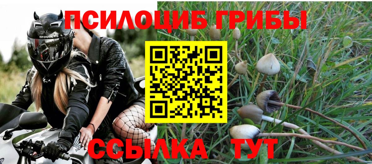 купить наркотик  Галлюциногенные грибы Magic Shrooms  Вход с VPN  Долгопрудный 