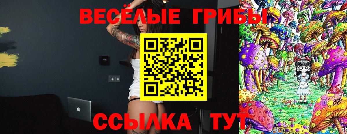 Псилоцибиновые грибы ЛСД Долгопрудный